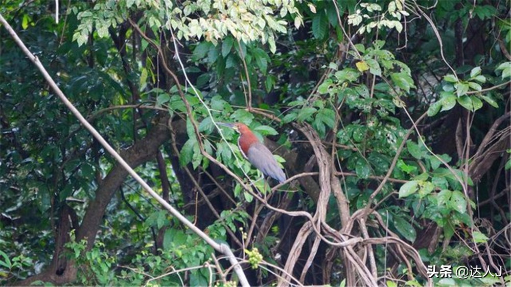 小天独家的全部视频,小天全国自驾
