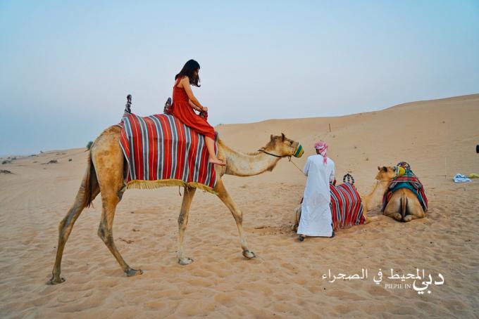土豪之旅迪拜,迪拜土豪之旅