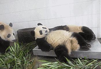 6年130场“爬楼大赛”，他为何要与地心引力做对抗？