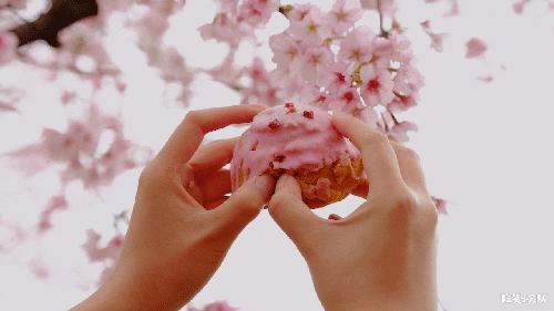 17元/颗的隐形草莓，荷兰来的