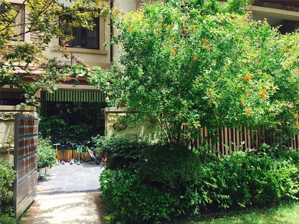 武汉最贵幼儿园排行榜汉阳,武汉最贵的幼儿园