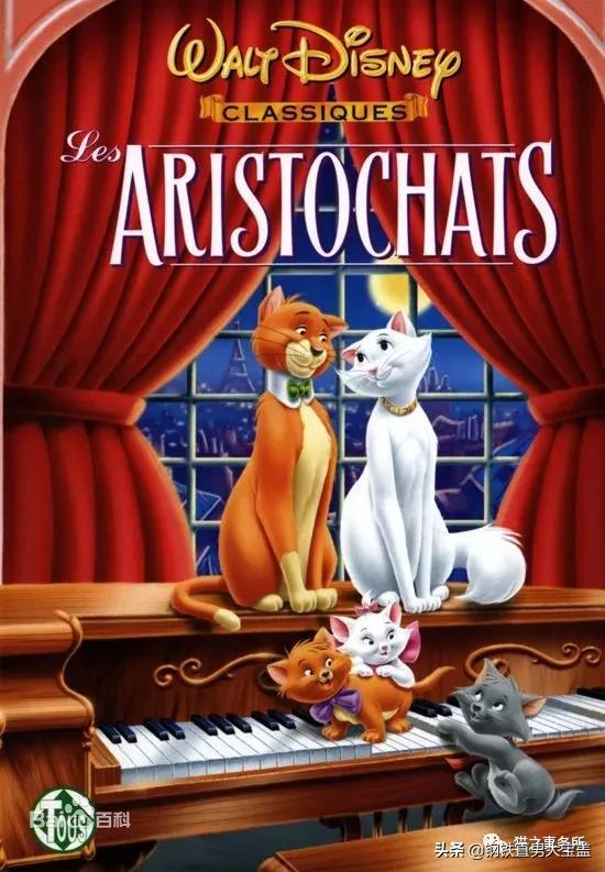 铲屎官必看的9部猫咪电影,铲屎官喵星人