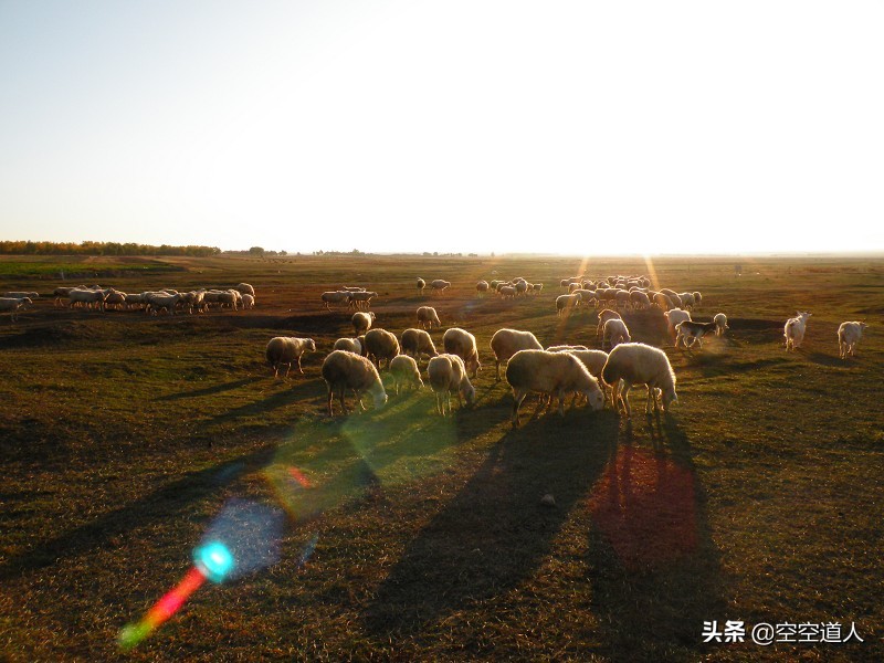 深度解析华尔街股票,深度分析美元股票
