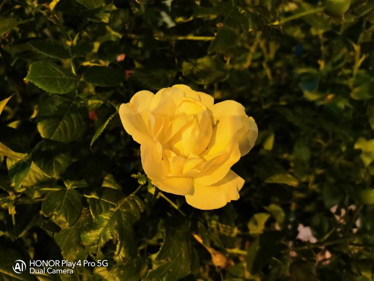 荣耀play4pro深度评测,荣耀play4pro详细评测