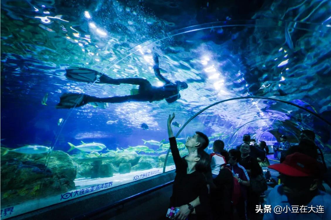 大连周末自驾游,大连周末去哪里玩又省钱又好玩