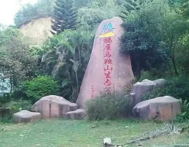 打工回忆录400字,东莞大岭山杨屋富鼎家私厂