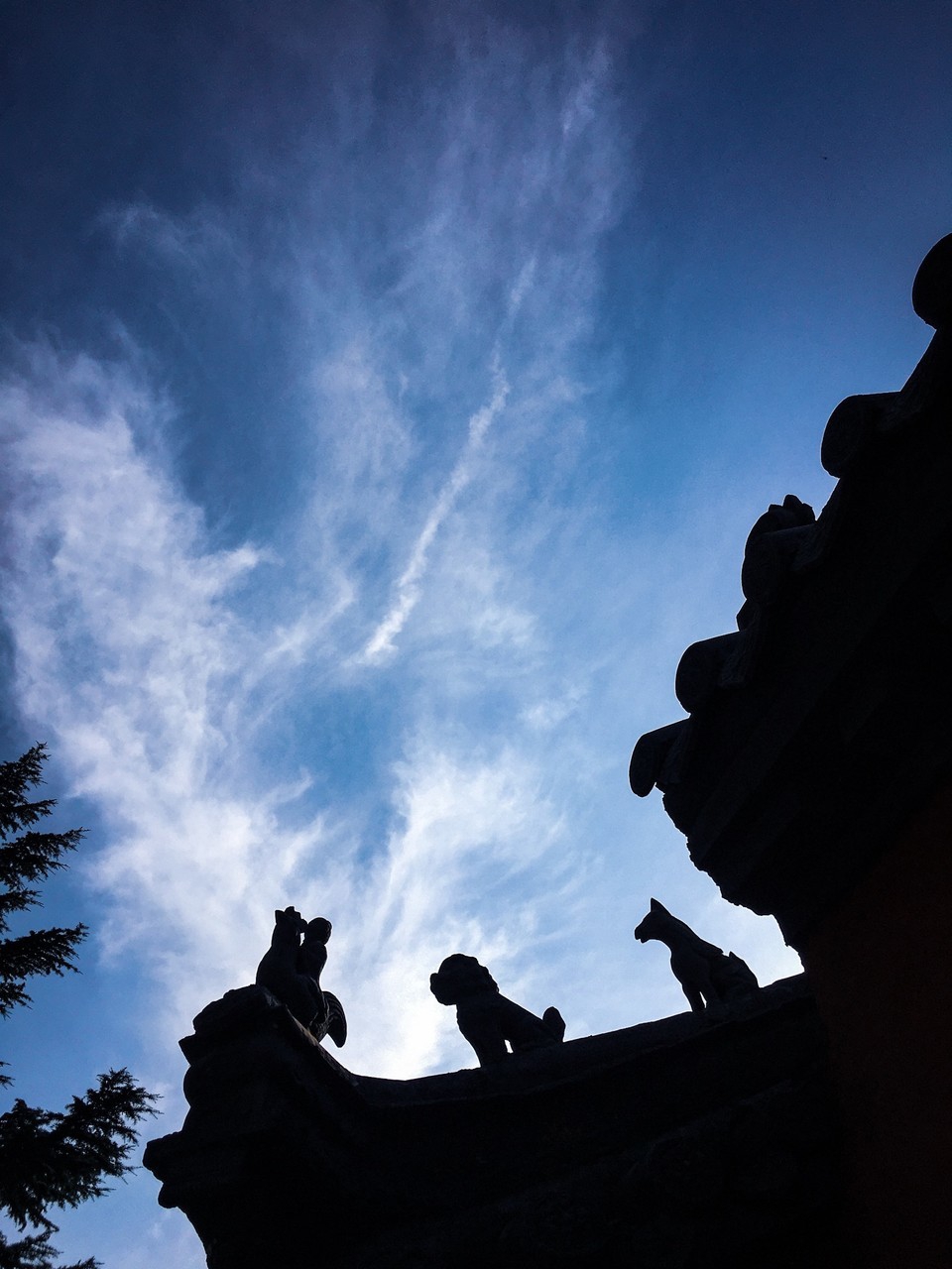 何不食肉糜,何不食肉糜完整句