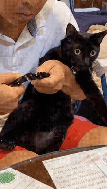 爆笑GIF：你敢出想法我就敢出人力，这就是农村的超神建筑队