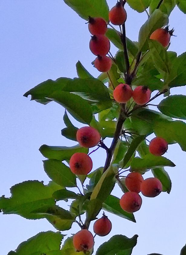 众创网校简介,众创网校官网