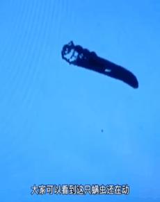 明星亲测有效的护肤品,明星亲测