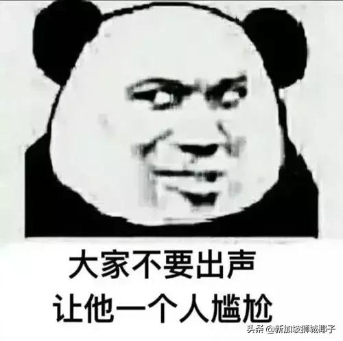 新加坡用什么上网,新加坡上网怎么上