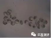 雅诗兰黛小棕瓶眼霜精华测评,雅诗兰黛眼霜测评小棕瓶