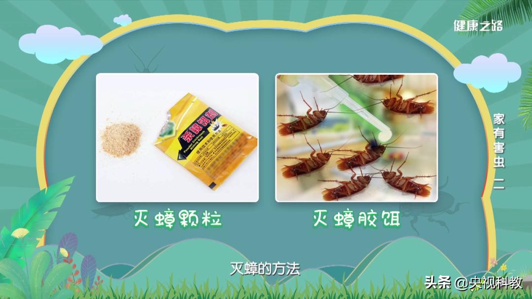 蟑螂打不死吗,没有打不死的小强