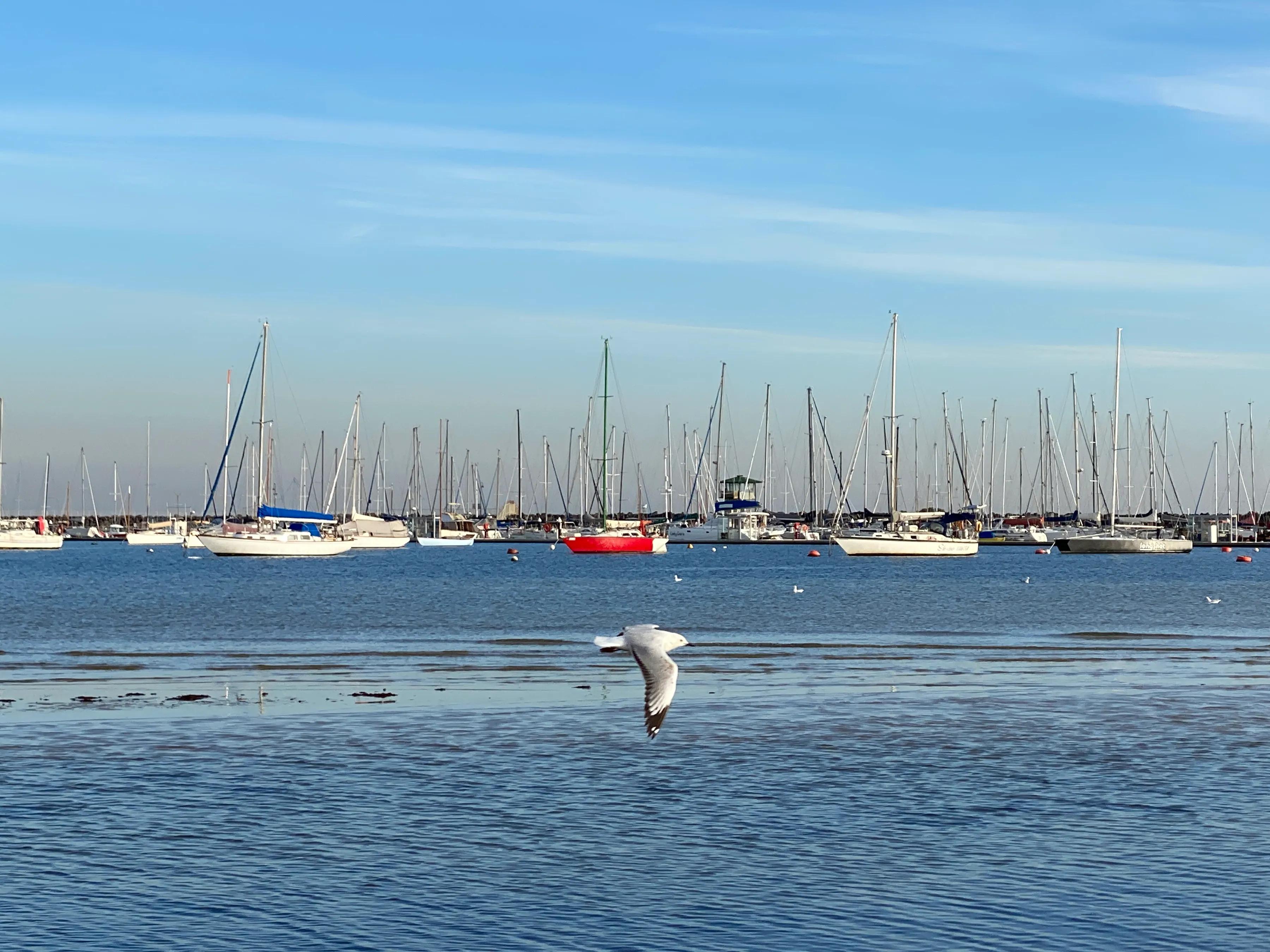 手机摄影手册圈友作品选第5期,手拍世界摄影交流平台