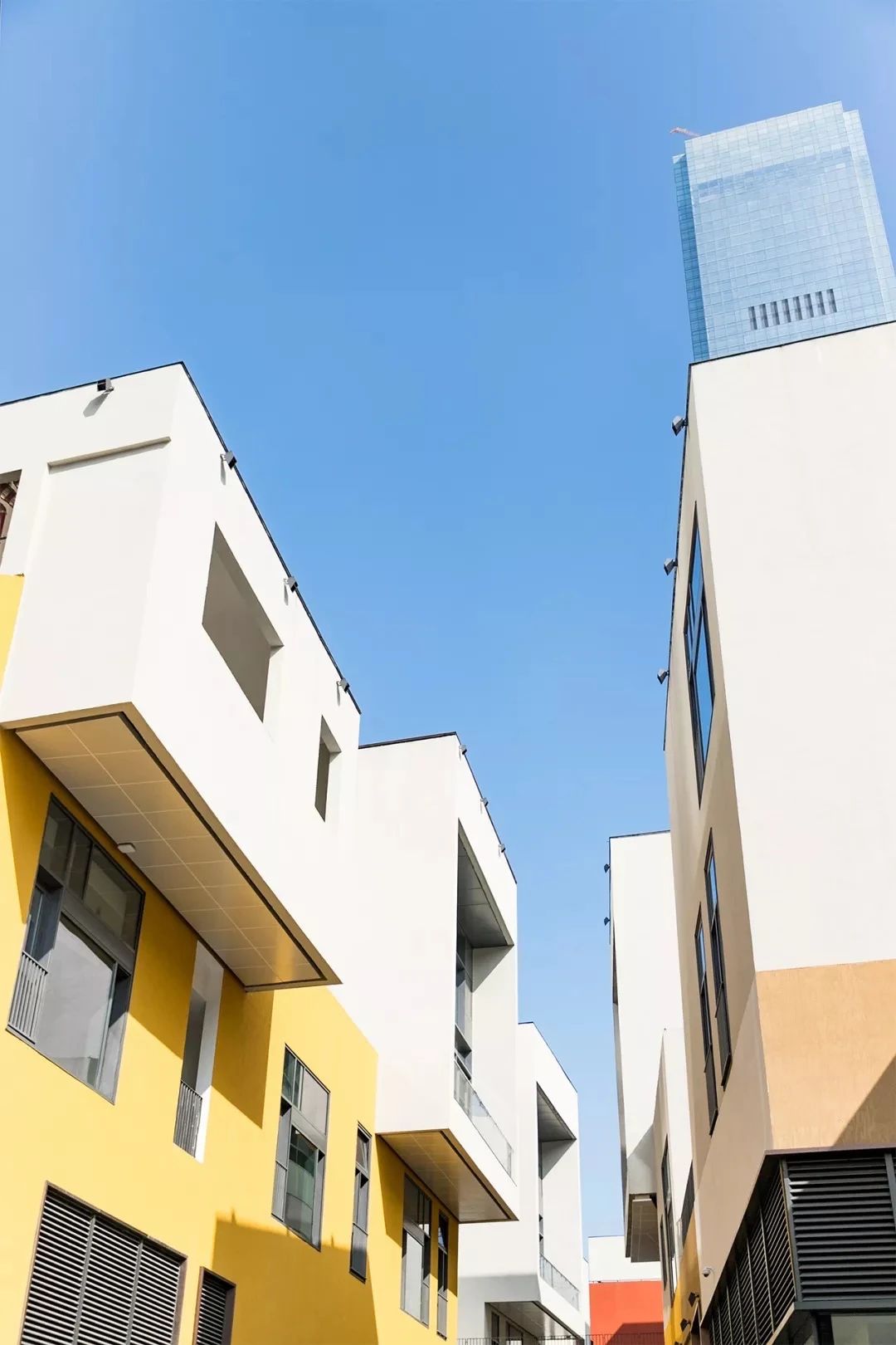 坐一趟4号线，打卡深圳19个热门游玩地！