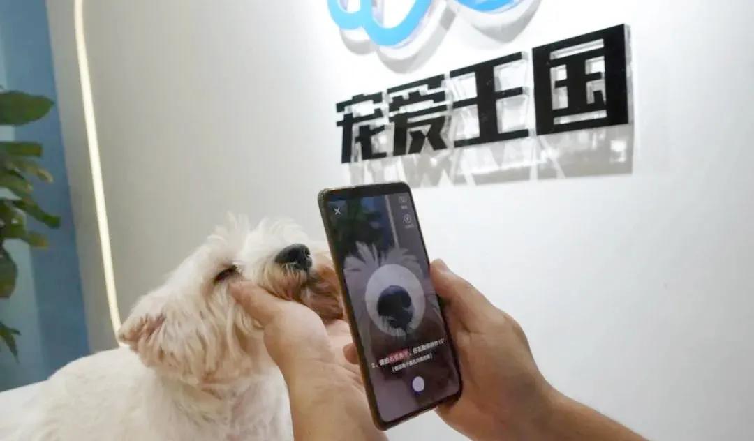 宠物新零售模式大全,宠物新零售新模式