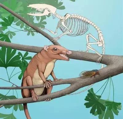 灭绝物种什么罪,灭绝动物的报应