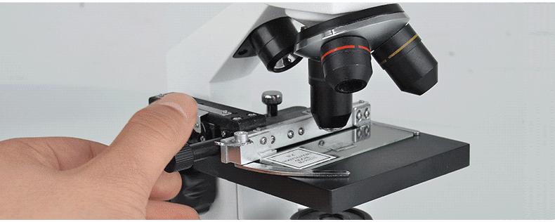 华为手机显微镜放大1000倍清晰,怎样才能把手机变成显微镜模式