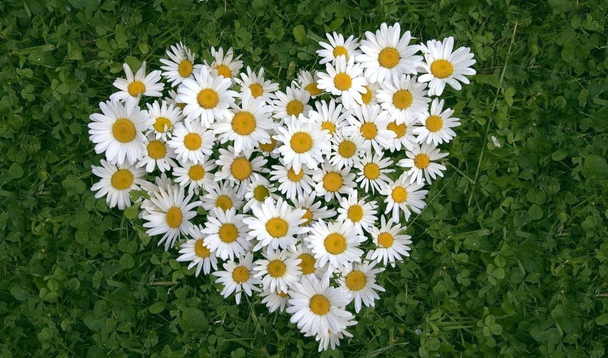 高度自律的摩羯座男,摩羯座自律最强的星座女生