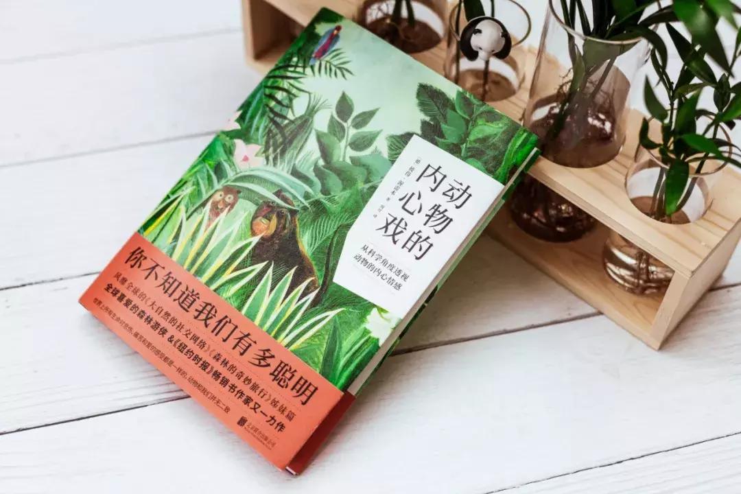 苍蝇的一生有多短暂,苍蝇的一生也就是人类的缩影