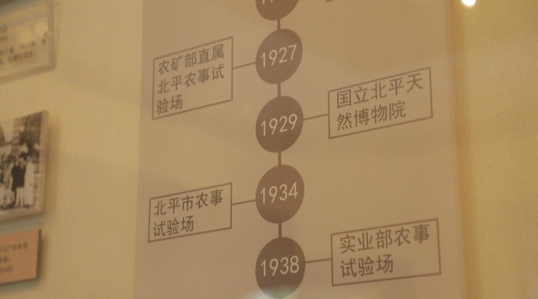 北京动物园和北京大兴野生动物园,北京动物园儿童动物园