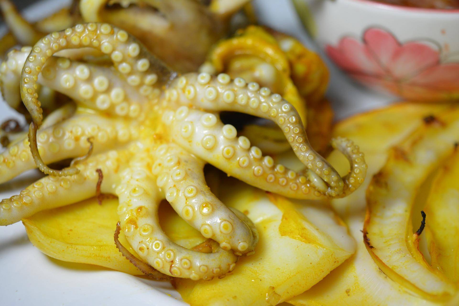 适合旅游不需要签证的国家,不需要签证的便宜旅游国家