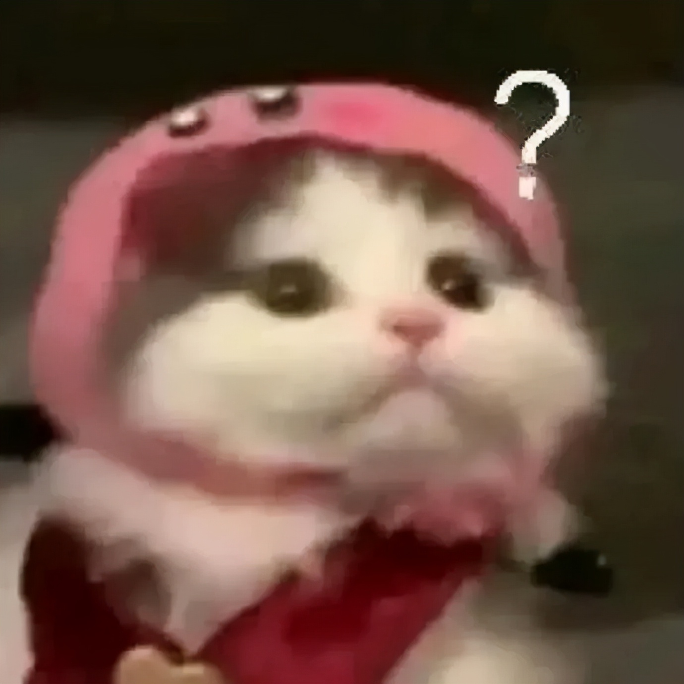 生日礼物收到了男友送的假货…高了，爷血压高了