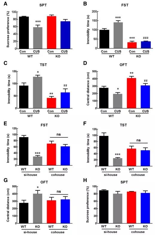 抑郁症研究的经典实验,抑郁症的研究报告