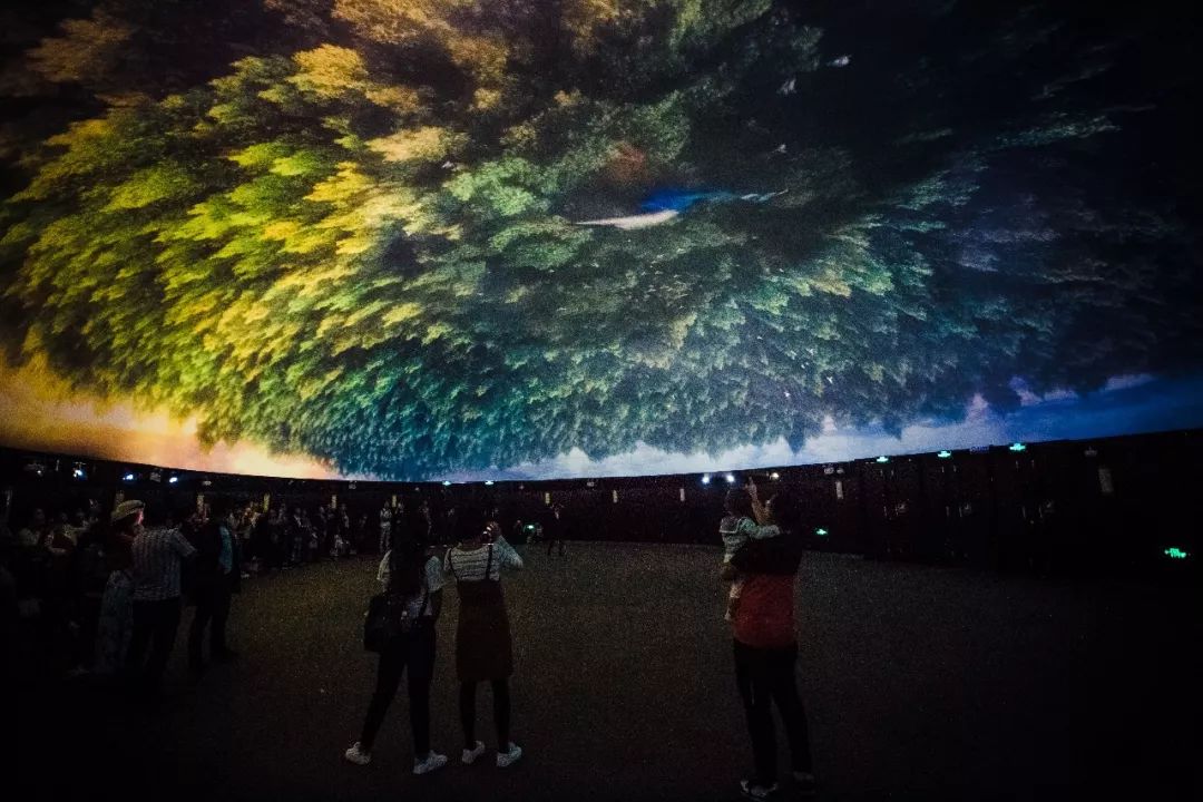 look缃戠孩,look鍝ュ摜