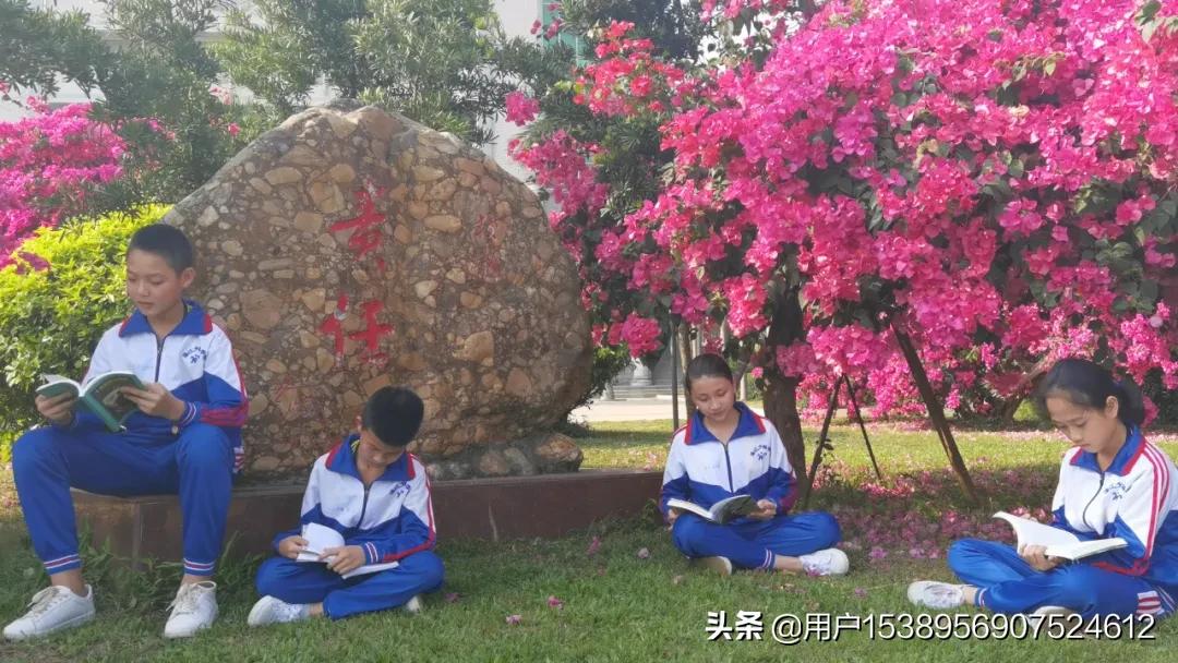 湛江少林武术学校2022招生简章,湛江市少林学校招生简章