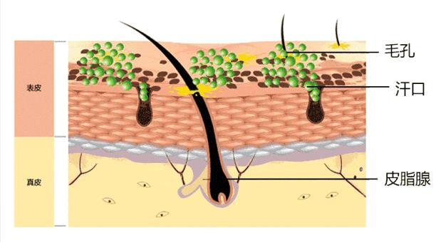 有的女生表面上光鲜亮丽,有的女生表面上白白净净的
