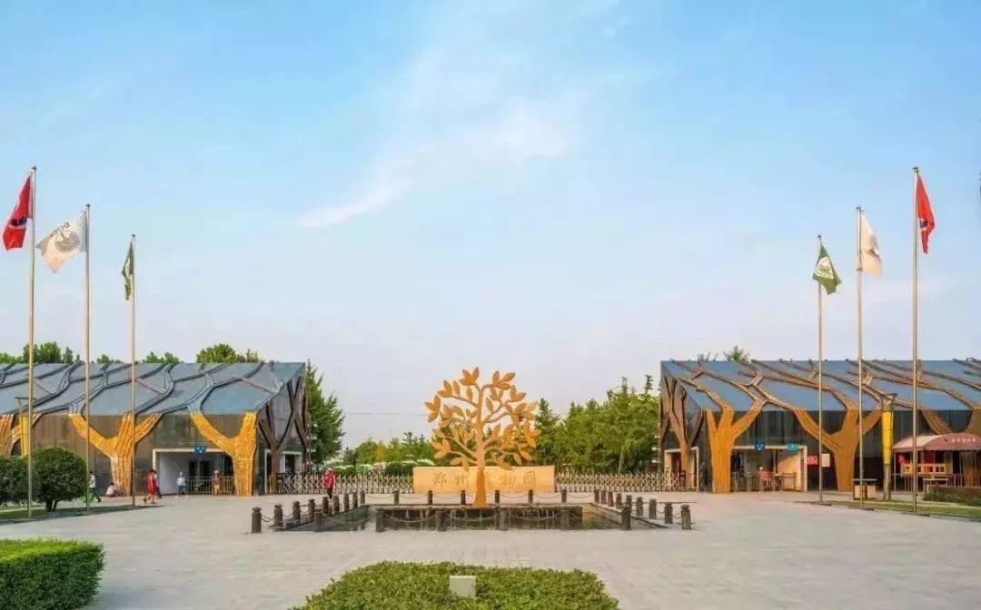 请回答郑州青年,请回答1988完整视频