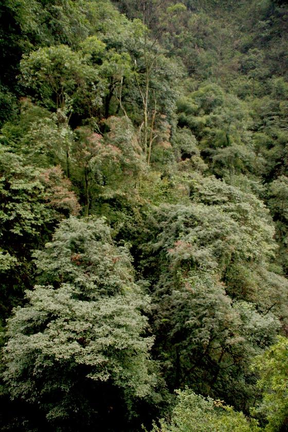 神龙峡：幽谷深深隐桃源