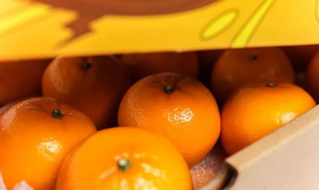 干货农产品包装包括哪些种类,水果礼盒是初级农产品吗