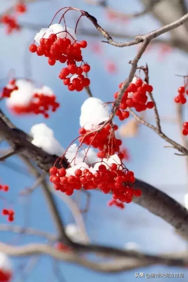 形容雪花飘落人心情舒畅的诗句,形容雪花飘落意境诗句