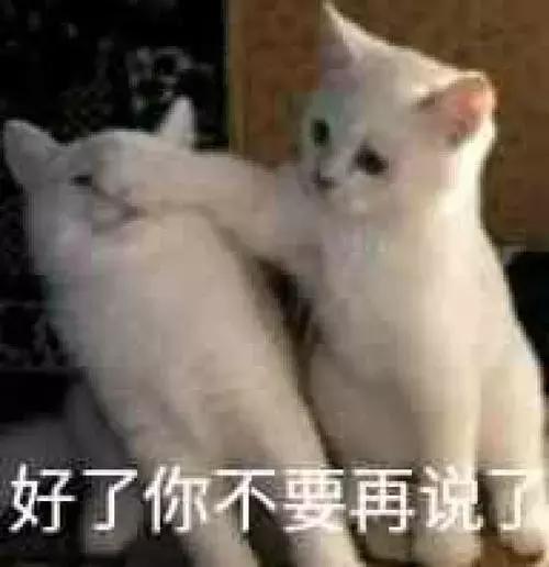 高速路上爆胎怎么办最好自救,在高速上爆胎应该怎么处理