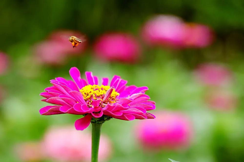 如何正确打牌,打牌双升的正确打法口诀