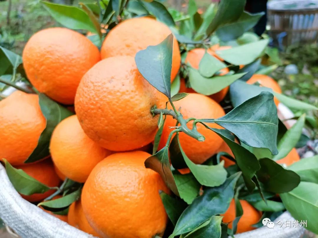 淮口景区,淮口附近旅游景区推荐一下