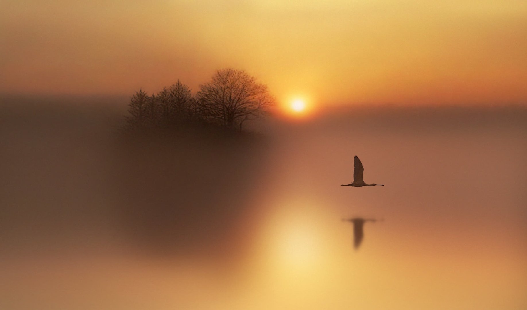 国家重大发明的作文300字,经典文学作品和优秀作文选稿