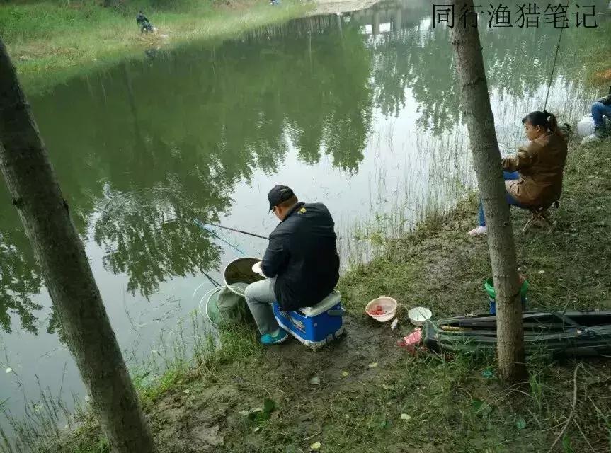 钓鱼记录2019,最新的钓鱼日记
