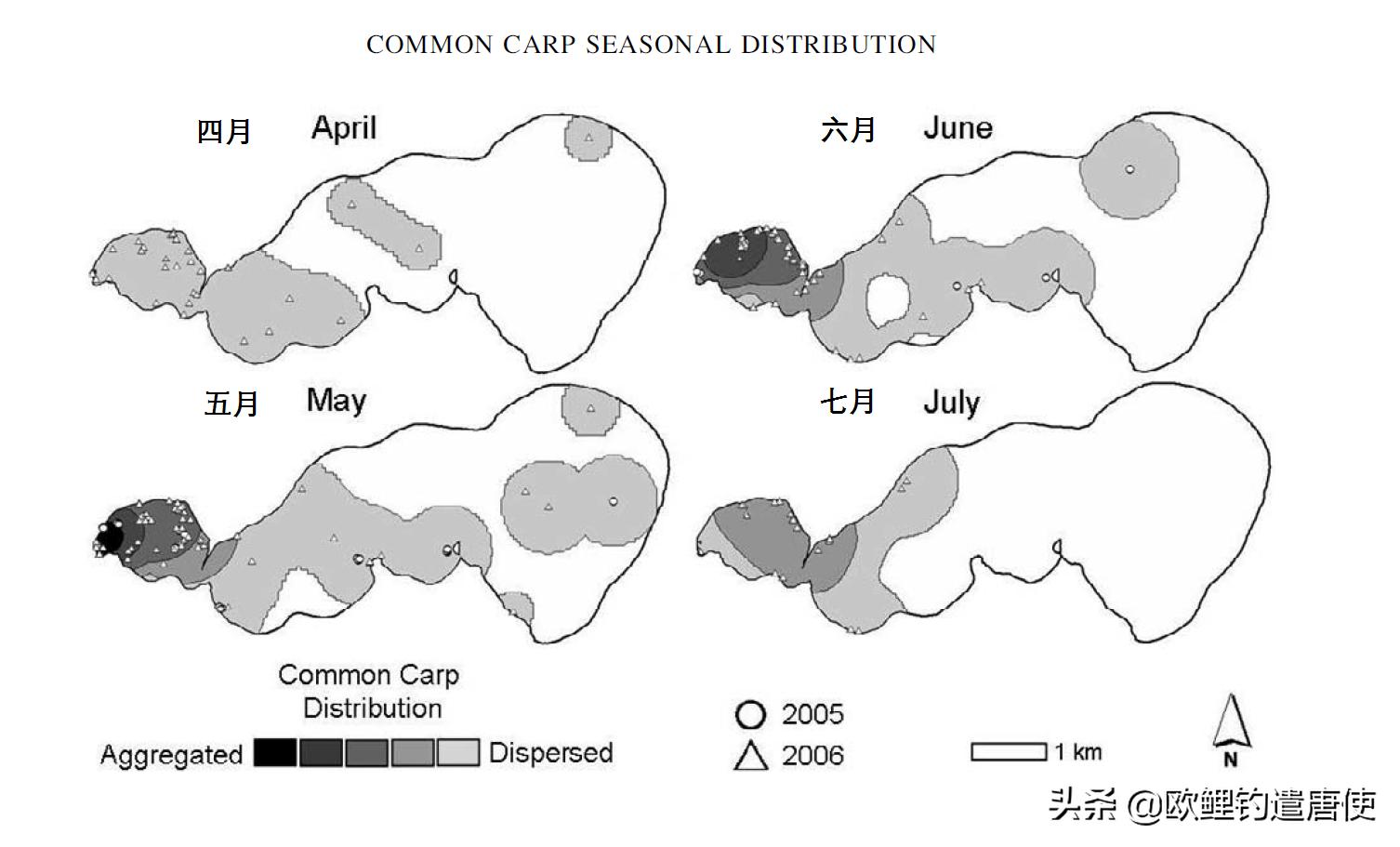 禁渔期一竿一线一钩可钓鱼吗,禁渔期过了一竿一线一钩可钓鱼吗