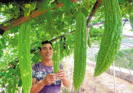 糖尿病人天天吃苦瓜,到底能不能降糖?医生:别被这2种食物误导