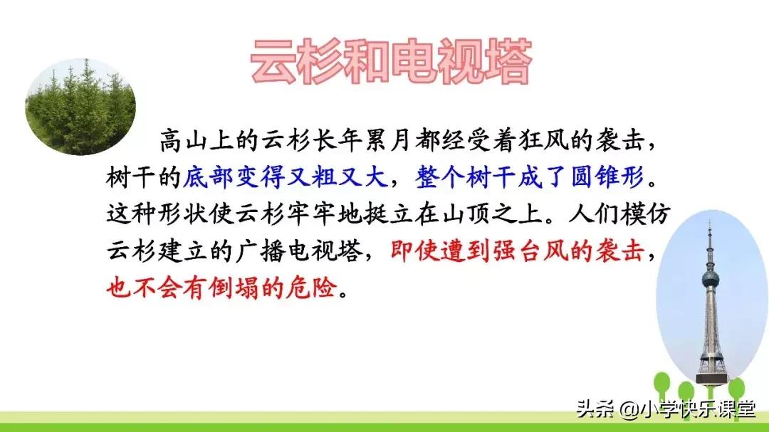 四年级上册语文蝙蝠和雷达课后题,部编版四年级上册语文蝙蝠和雷达