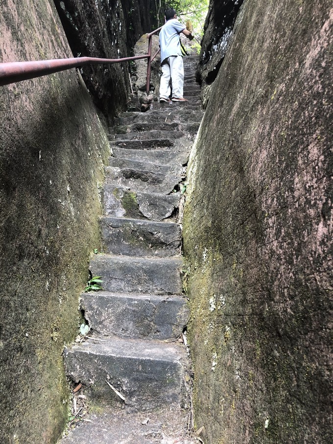 叮当猫还玩81式吗,叮当猫还玩率土之滨吗