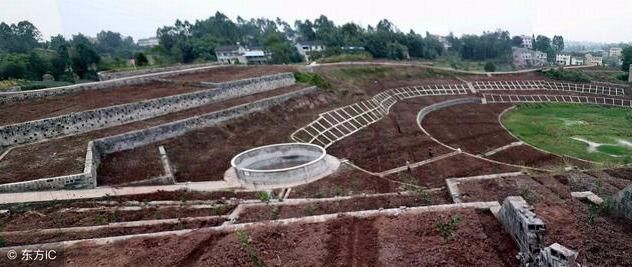 如何申请有机食品认证,有机食品由什么地方认证