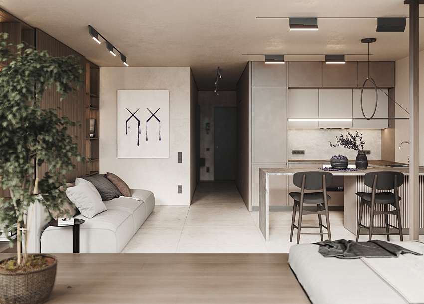 客厅设计现代简约风格没有电视,传统客厅设计比较实惠