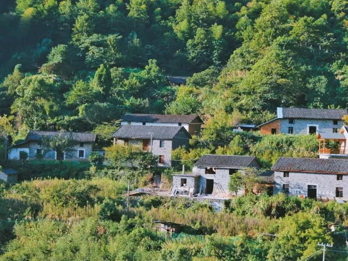 10年前，那个花83元穷游*藏西**的姑娘，后来怎么样了？