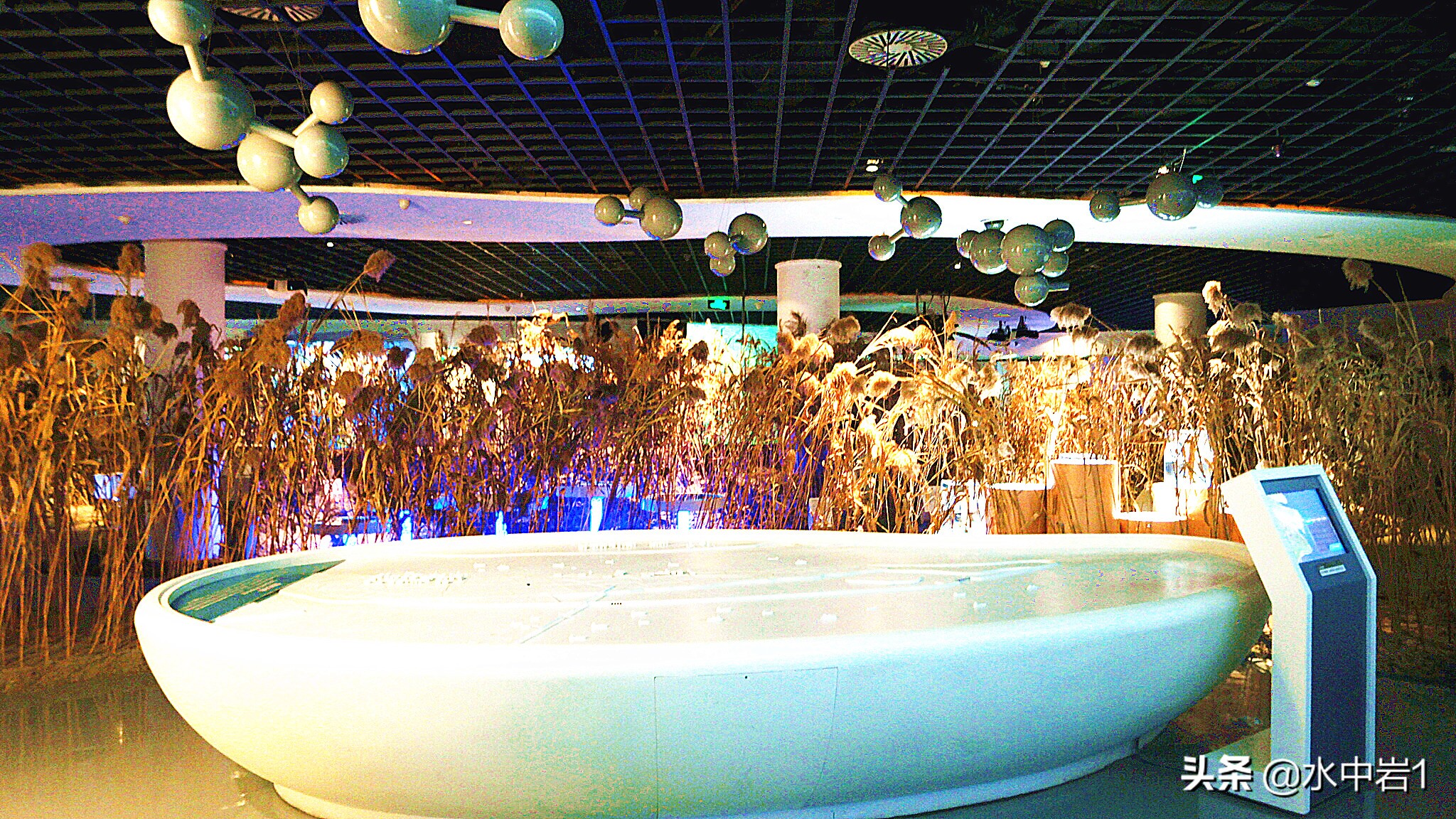 长江流域湿地生态环境保护,长江流域环境保护成果