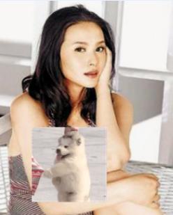 当小三、吸毒坐牢、大骂父母，如今生不出孩子还患癌，算现世报？