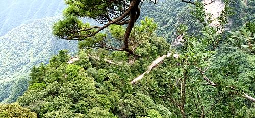 打卡天竺,天竺山之旅